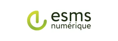 Logo ESMS numérique.png